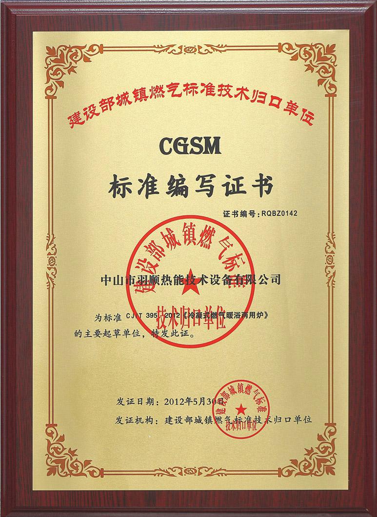 CGSM标准编写证书